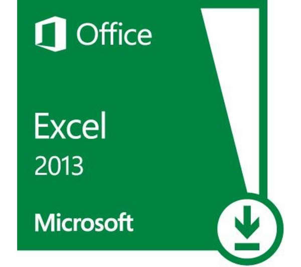 Microsoft Excel 2013 logo