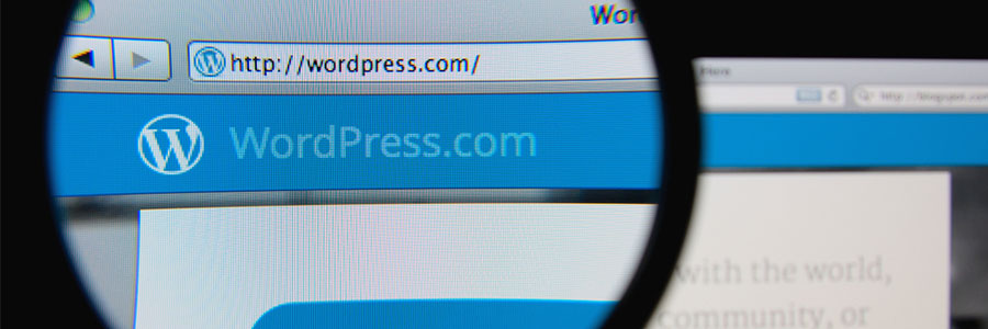 Vulnerabilities on WordPress-Hosted Sites