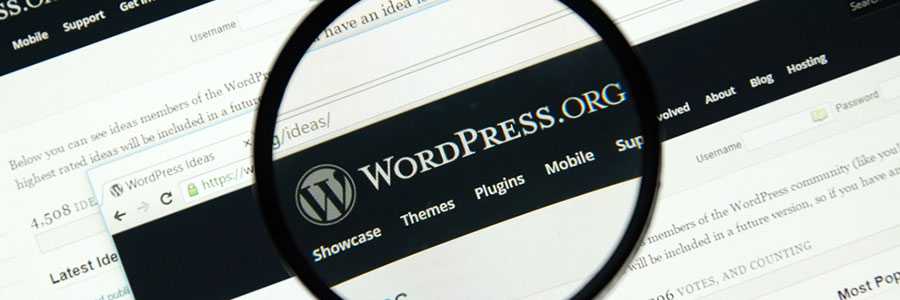 An Essential Checklist for WordPress Users